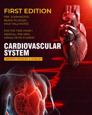 Cardiovascular System