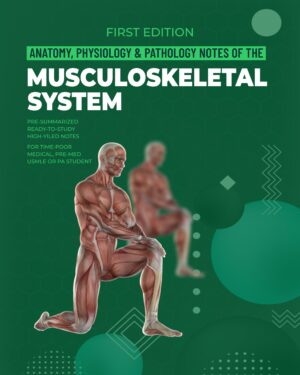 Musculoskeletal System