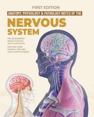 Nervous System